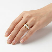 Crescent Shell