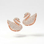 Cygne Pavé